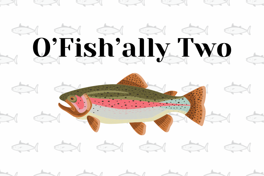 Graphic of large fish in the middle of it. Above the fish are the words "O'fish'ally Two". The back ground of the graphic are rows of fished faded in.