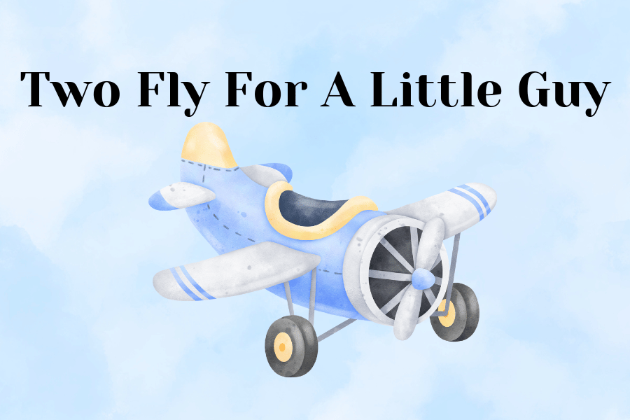 A graphic of a blue airplane in a blue cloudy sky with the words "Two Fly For A Little Guy" center above the plane.