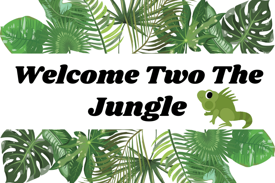 A graphic with words "Welcome Two The Jungle" Centered right in the middle in black. Next to the words "Jungle" is a green lizard. To the top and bottom of the words are lots of different jungle leafs.